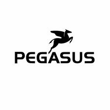pegasus-bike-logo