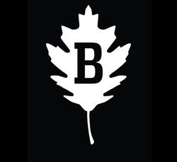 brother-bikes-logo